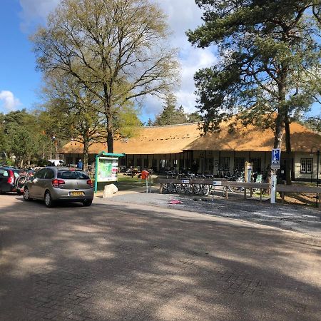 Chalet Albatros Diever Eksteriør billede