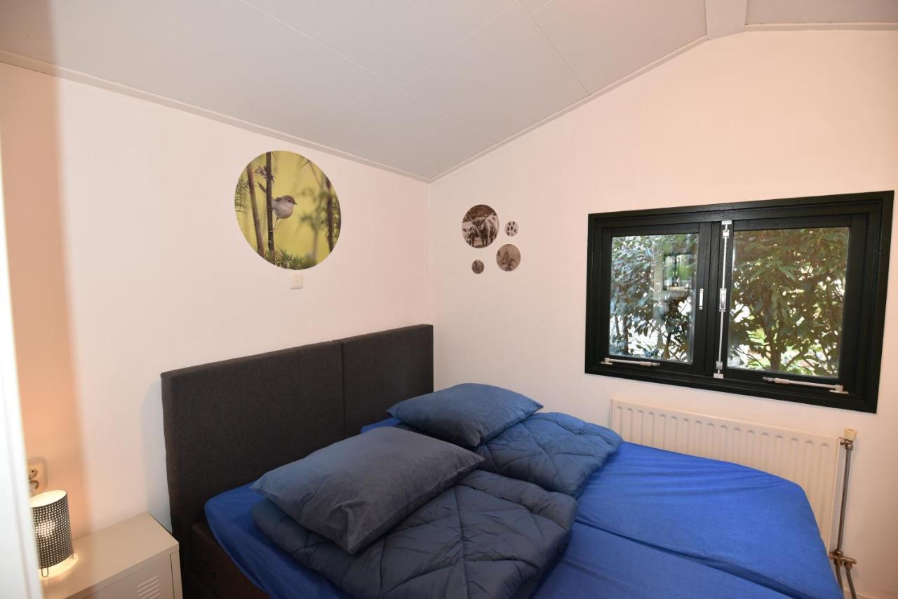 Chalet Albatros Diever Eksteriør billede